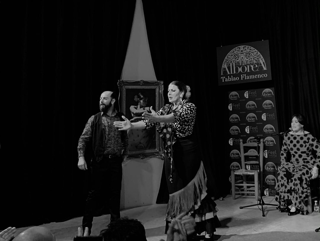 Desfruta de um espetáculo de flamenco num tablao tradicional situado no centro histórico da cidade de Granada